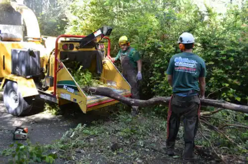 tree services North Fort Myers